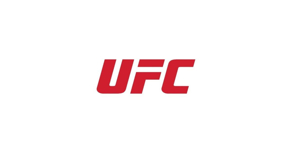 UFC 329